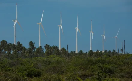 Ribercon - Inscrições para Olimpíada de Eficiência Energética já estão abertas